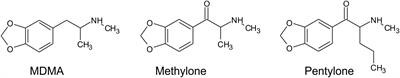Self-Administration of Entactogen Psychostimulants Dysregulates Gamma-Aminobutyric Acid (GABA) and Kappa Opioid Receptor Signaling in the Central Nucleus of the Amygdala of Female Wistar Rats